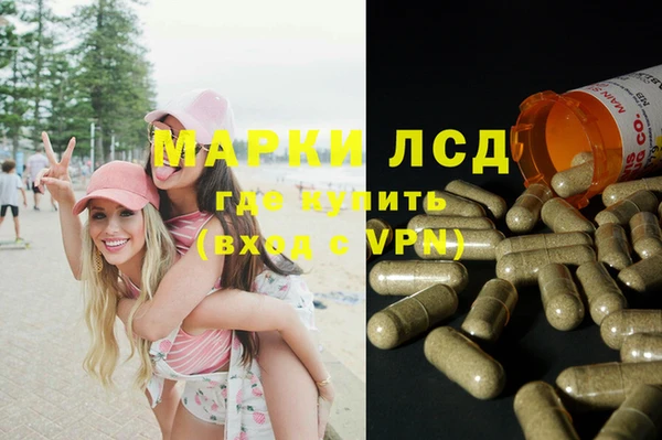 Альфа ПВП Аркадак