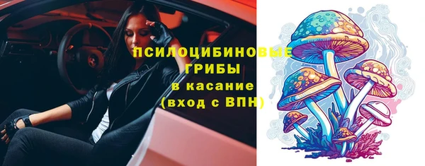 дурь Горнозаводск