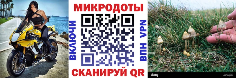 OMG зеркало  купить   Куйбышев  Галлюциногенные грибы Psilocybine cubensis 